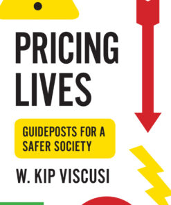 Pricing Lives: Guideposts for a Safer Society ebook