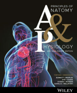 Principles of anatomy and physiology 2nd Asia-Pacific edition ebook