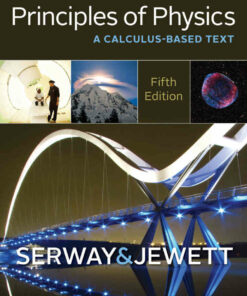 Principles of Physics: A Calculus-Based Text 5th Edition ebook