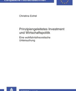 Prinzipiengeleitetes Investment und Wirtschaftspolitik: Eine wohlfahrtstheoretische Untersuchung ebook