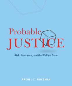 Probable Justice: Risk Insurance and the Welfare State ebook
