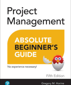 Project Management Absolute Beginner's Guide 5th Edition ebook