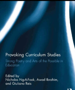Provoking Curriculum Studies: Strong Poetry and Arts of the Possible in Education ebook