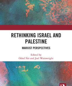 Rethinking Israel and Palestine: Marxist Perspectives ebook