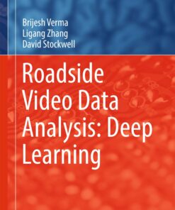 Roadside Video Data Analysis: Deep Learning ebook