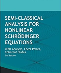 Semi-classical Analysis For Nonlinear Schrodinger Equations: Wkb Analysis Focal Points Coherent States (Second Edition) WKB Analysis Focal Points Coherent States ebook