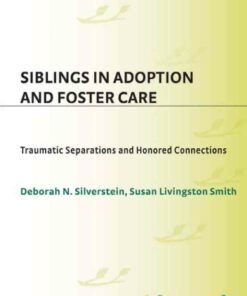 Siblings in Adoption and Foster Care: Traumatic Separations and Honored Connections ebook
