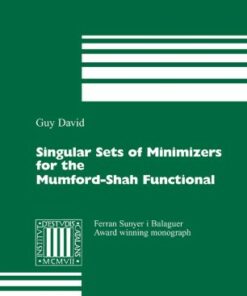 Singular Sets of Minimizers for the Mumford-Shah Functional ebook