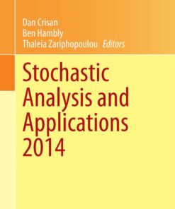 Stochastic Analysis and Applications 2014: In Honour of Terry Lyons ebook