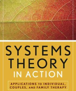 Systems Theory in Action: Applications to Individual, Couple, and Family Therapy, 1st Edition ebook