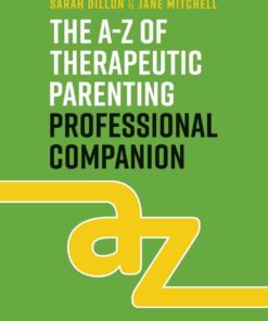 The A-Z of Therapeutic Parenting Professional Companion: Tools for Proactive Practice ebook
