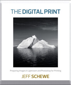 The Digital Print ebook