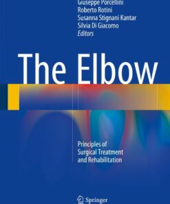 The Elbow: Principles of Surgical Treatment and Rehabilitation ebook