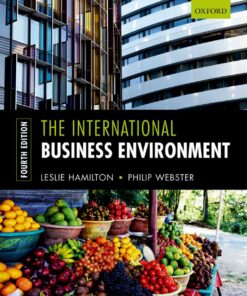 The International Business Environment ebook