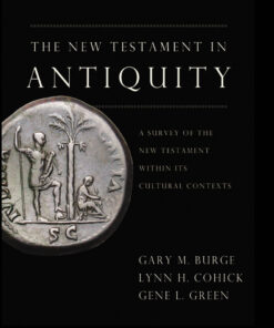 The New Testament in Antiquity ebook