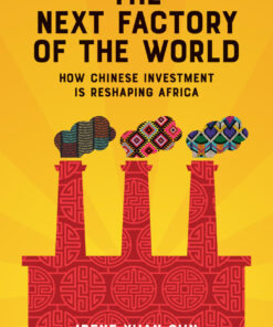 The Next Factory of the World: How Chinese Investment Is Reshaping Africa ebook