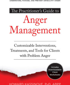 The Practitioner's Guide to Anger Management: Customizable Interventions Treatments and Tools for Clients with Problem Anger ebook