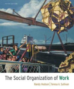 The Social Organization of Work 5th Edition ebook