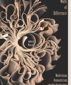 The Work of Difference: Modernism Romanticism and the Production of Literary Form ebook