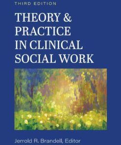 Theory & Practice in Clinical Social Work, 3rd Edition ebook