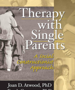 Therapy with Single Parents: A Social Constructionist Approach ebook