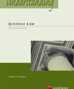 Understanding Juvenile Law ebook