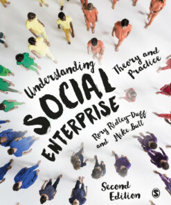 Understanding Social Enterprise ebook