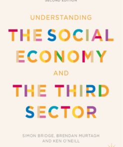 Understanding the Social Economy and the Third Sector ebook