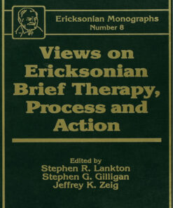 Views On Ericksonian Brief Therapy ebook