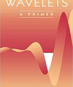 Wavelets: A Primer ebook