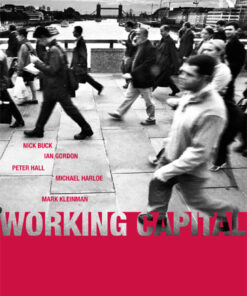 Working Capital: Life and Labour in Contemporary London ebook