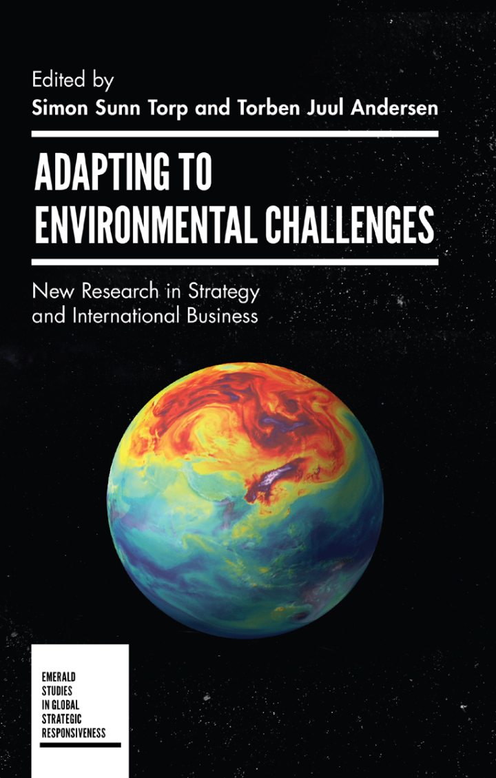 Adapting to Environmental Challenges: New Research in Strategy and International Business ebook