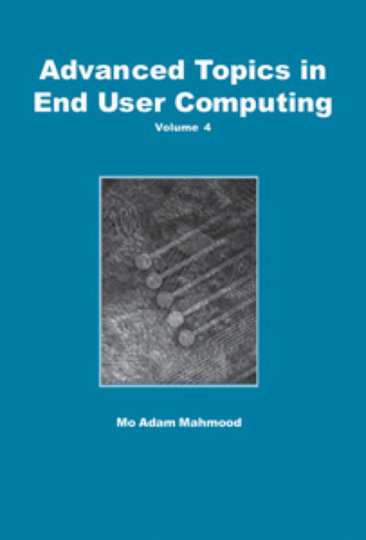 Advanced Topics in End User Computing, Volume 4 ebook