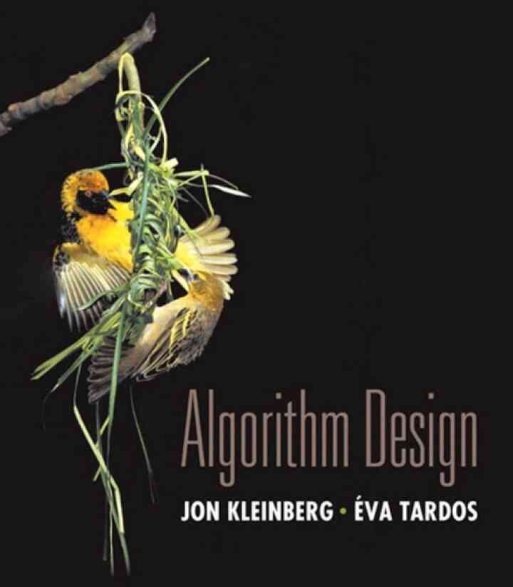 Algorithm Design, 1st Edition ebook