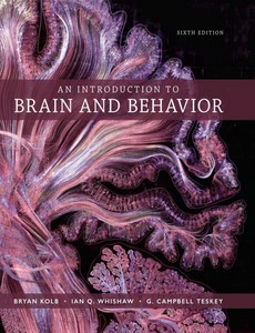 An Introduction to Brain and Behavior 6th Edition by Bryan Kolb ebook