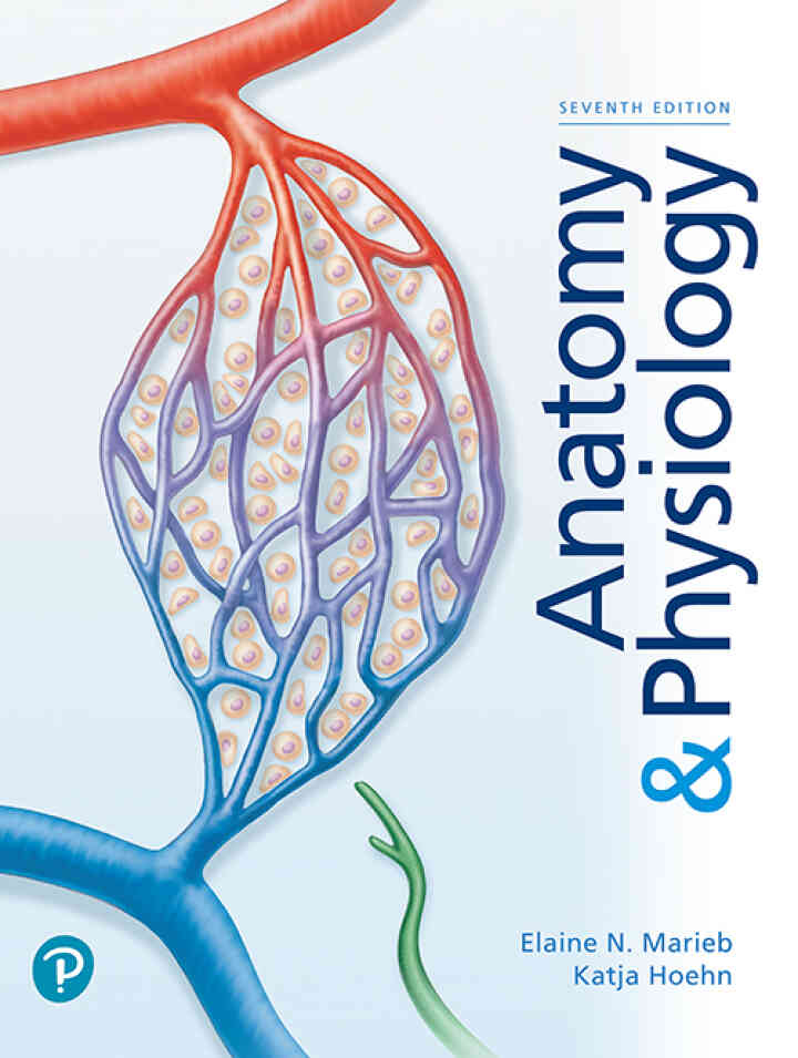 Anatomy & Physiology, 7th Edition ebook