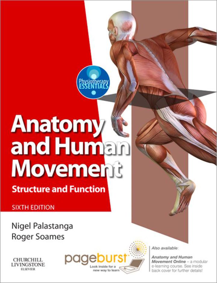 Anatomy and Human Movement ebook