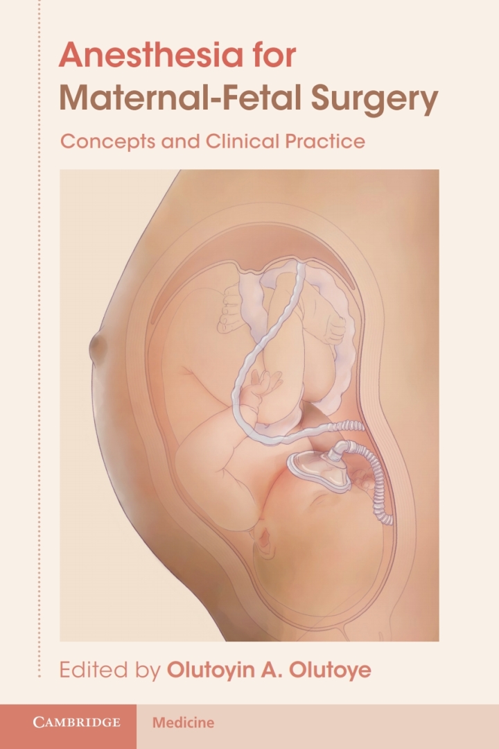 Anesthesia for Maternal-Fetal Surgery: Concepts and Clinical Practice ebook