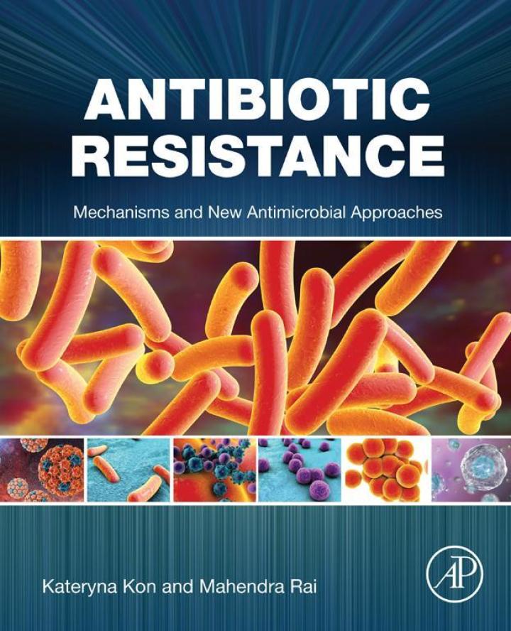 Antibiotic Resistance: Mechanisms and New Antimicrobial Approaches ebook