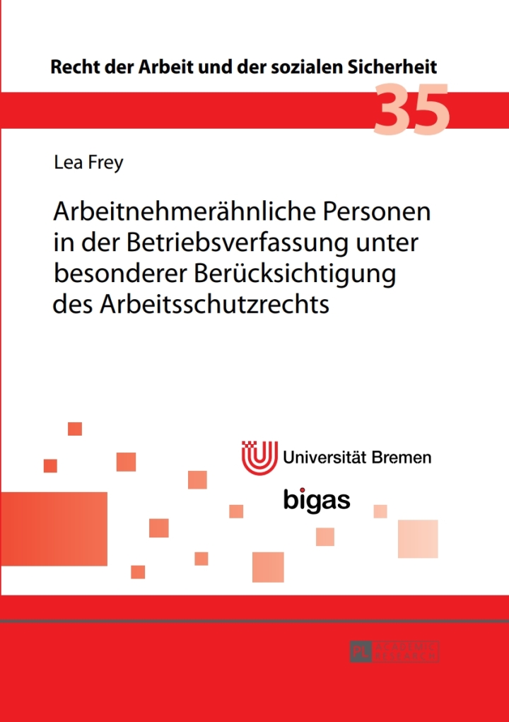 Arbeitnehmeraehnliche Personen in der Betriebsverfassung unter besonderer Beruecksichtigung des Arbeitsschutzrechts ebook