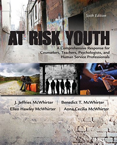 At Risk Youth ebook