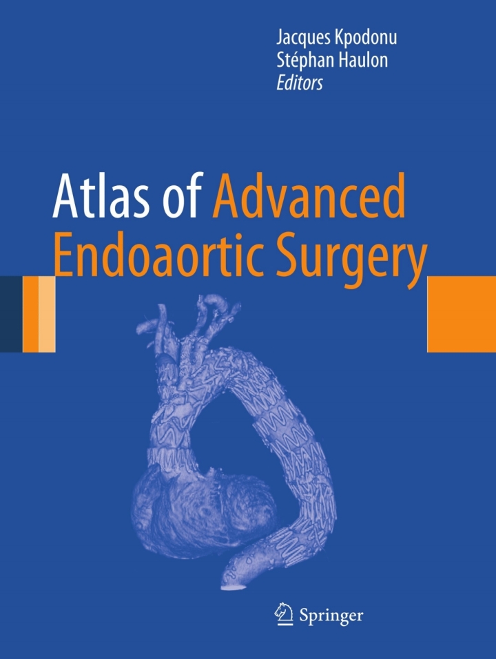 Atlas of Advanced Endoaortic Surgery ebook