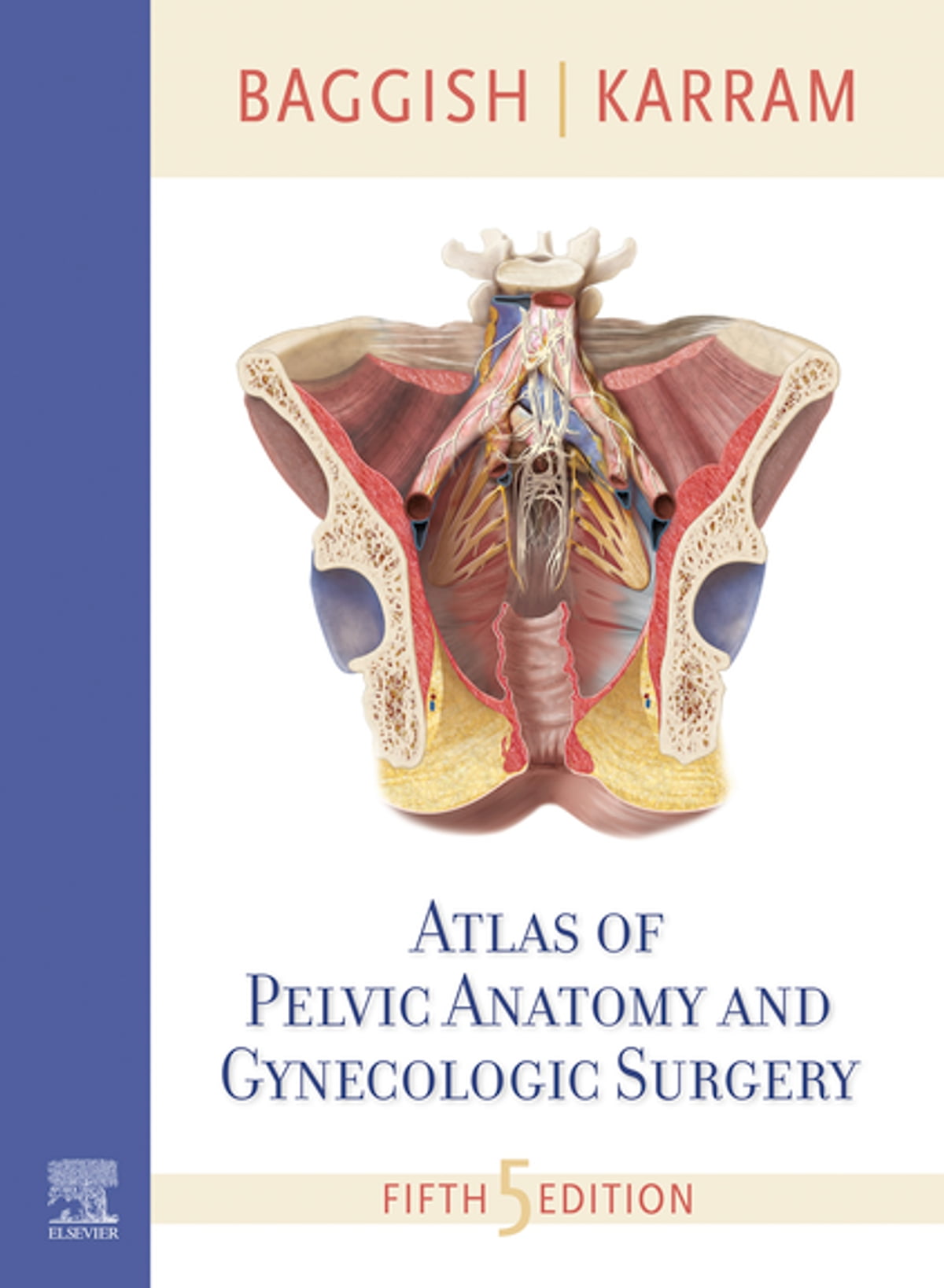 Atlas of Pelvic Anatomy and Gynecologic Surgery E-Book ebook