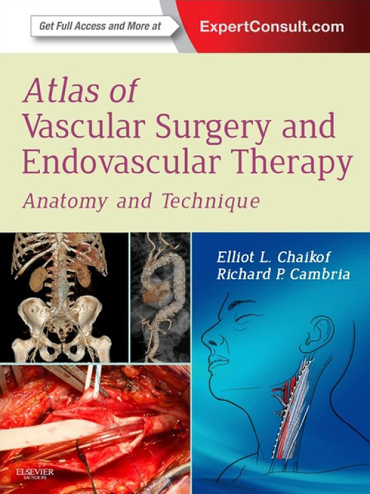 Atlas of Vascular Surgery and Endovascular Therapy: Anatomy and Technique ebook