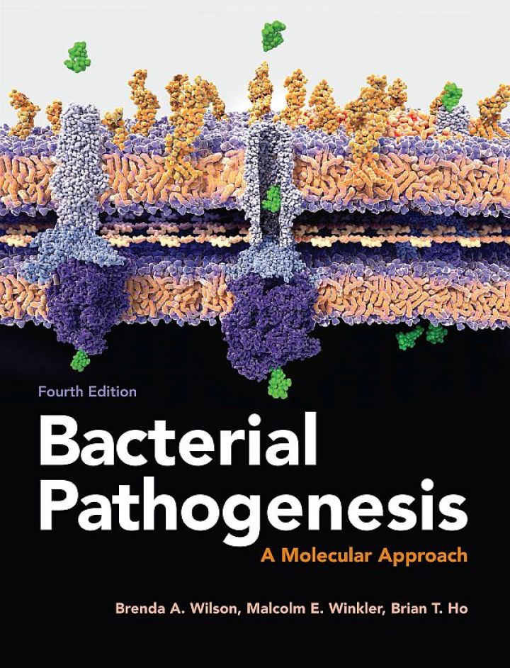 Bacterial Pathogenesis: A Molecular Approach ebook