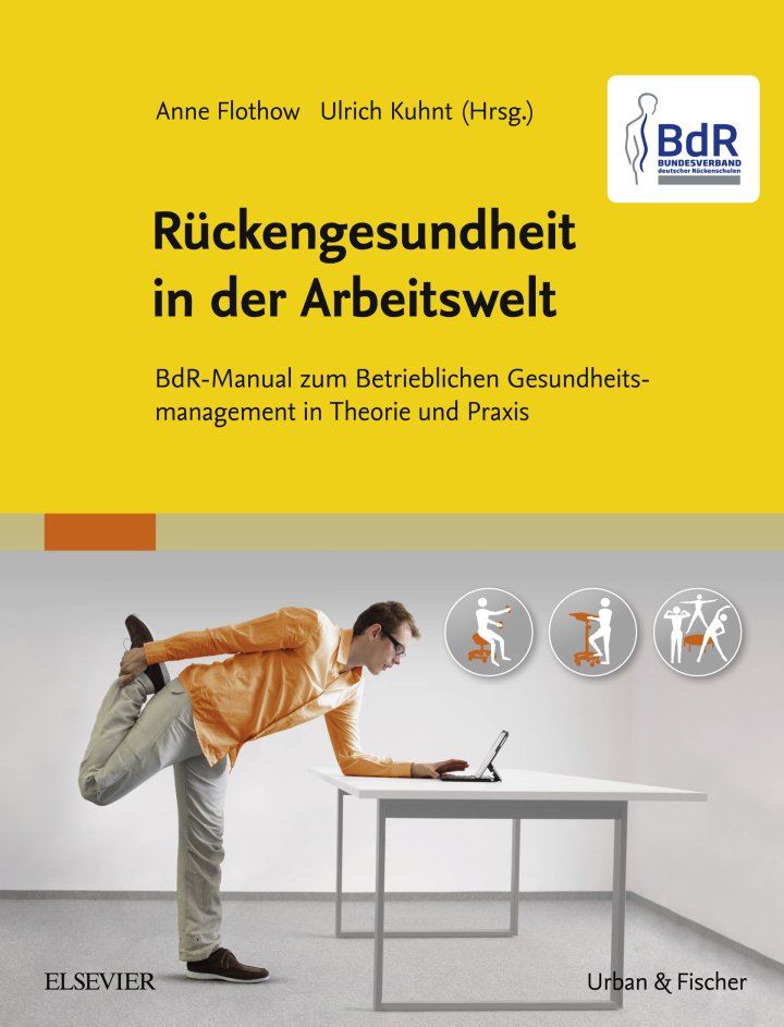 BdR-Manual R�ckengesundheit in der Arbeitswelt: BdR-Manual zum Betrieblichen Gesundheitsmanagement in Theorie und Praxis - mit Zugang zum Elsevier-Portal ebook