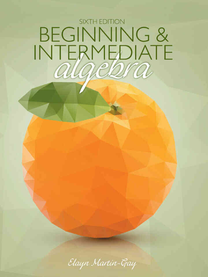 Beginning & Intermediate Algebra, 6th Edition ebook
