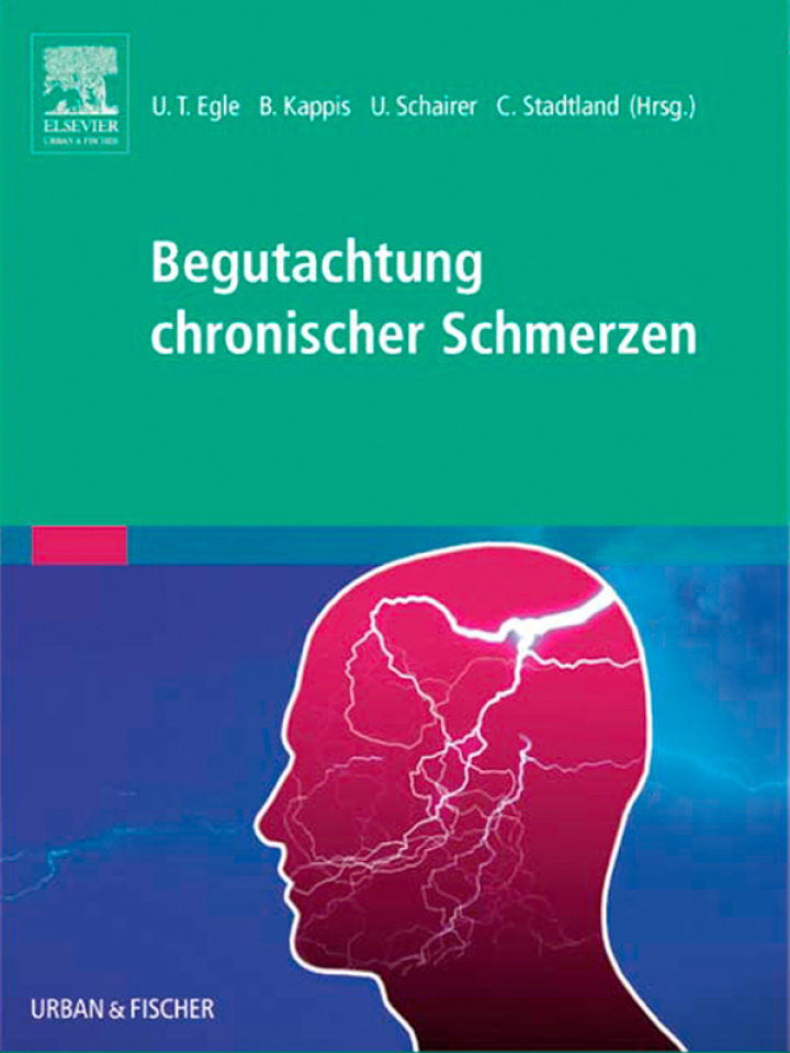 Begutachtung chronischer Schmerzen: Psychosomatische und psychiatrische Grundlagen � Fallbeispiele - Anleitung ebook