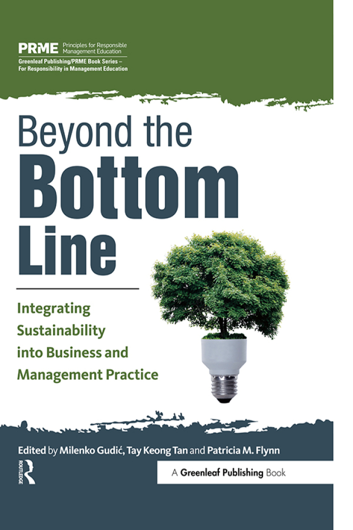 Beyond the Bottom Line: Integrating Sustainability into Business and Management Practice ebook