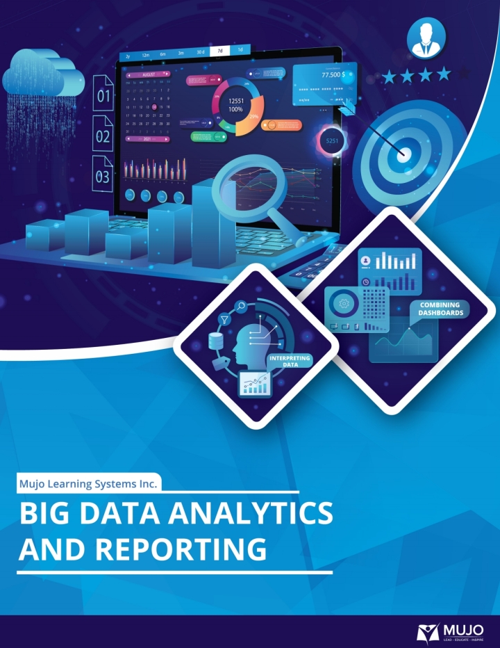 Big Data Analytics and Reporting ebook